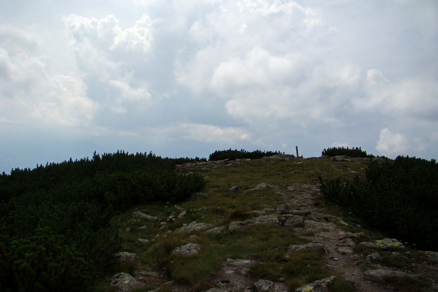 Baranec z Pribyliny (Západné Tatry)