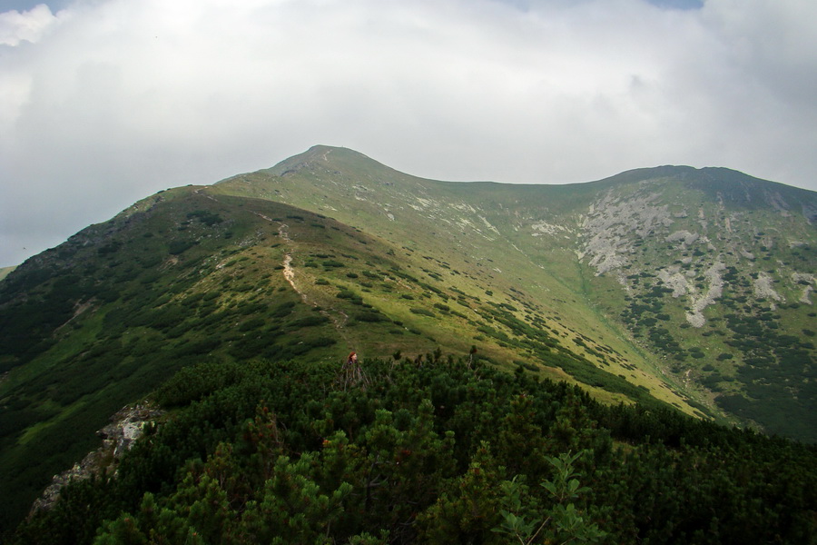 Baranec z Pribyliny (Západné Tatry)