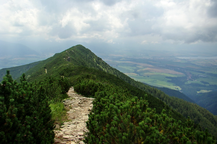 Baranec z Pribyliny (Západné Tatry)