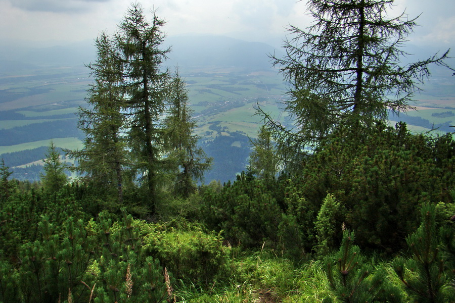 Baranec z Pribyliny (Západné Tatry)