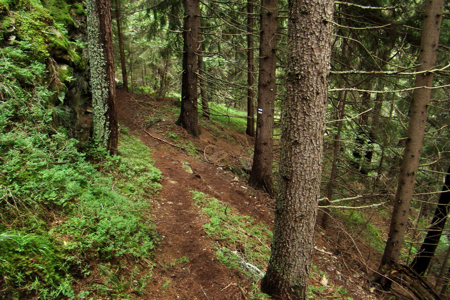 Baranec z Pribyliny (Západné Tatry)