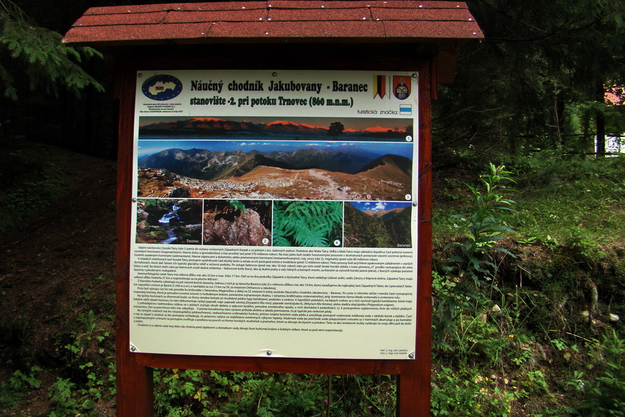 Baranec z Pribyliny (Západné Tatry)