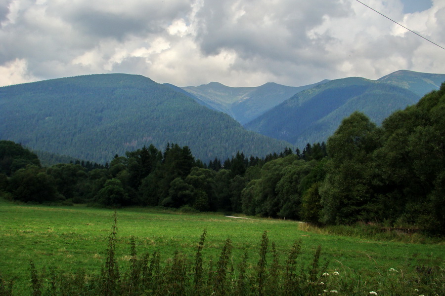 Baranec z Pribyliny (Západné Tatry)