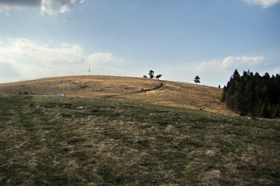 Bukovec zo Švedlára (Volovské vrchy)