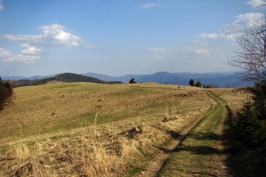 Bukovec zo Švedlára (Volovské vrchy)