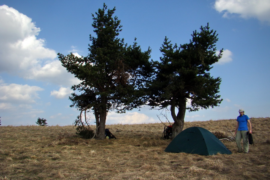 Bukovec zo Švedlára (Volovské vrchy)