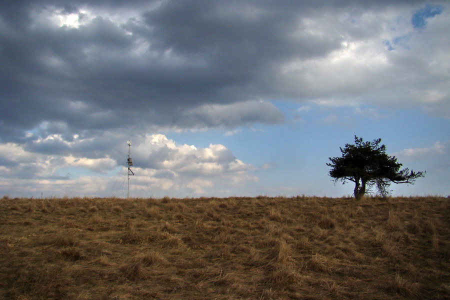 Bukovec zo Švedlára (Volovské vrchy)