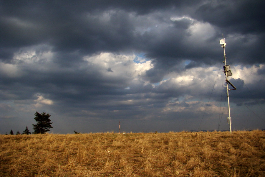 Bukovec zo Švedlára (Volovské vrchy)