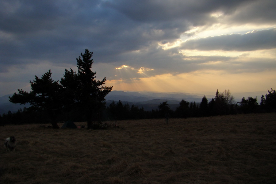 Bukovec zo Švedlára (Volovské vrchy)