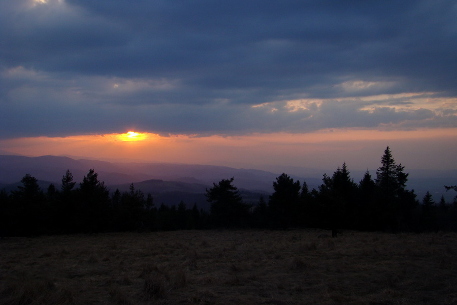 Bukovec zo Švedlára (Volovské vrchy)