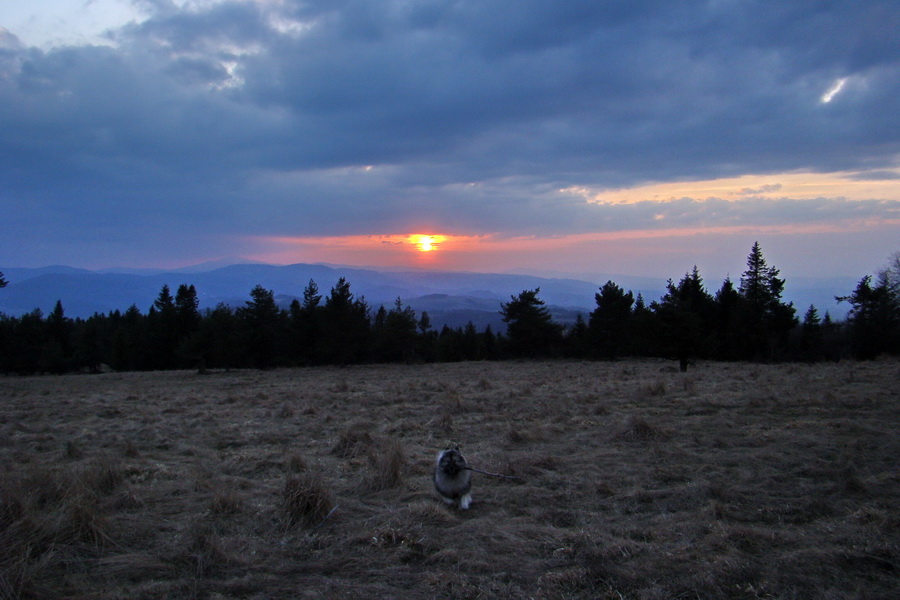 Bukovec zo Švedlára (Volovské vrchy)