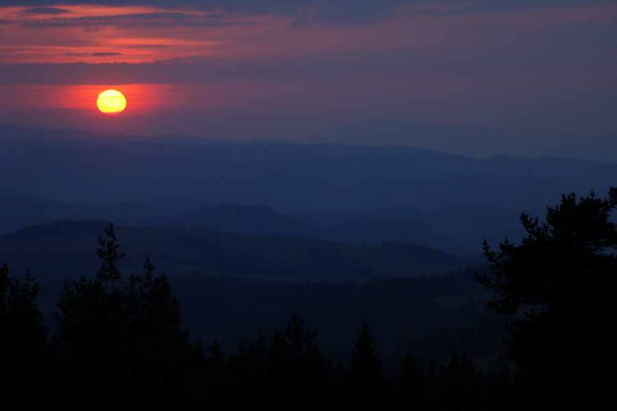 Bukovec zo Švedlára (Volovské vrchy)