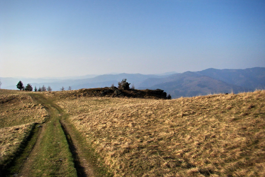 Bukovec zo Švedlára (Volovské vrchy)