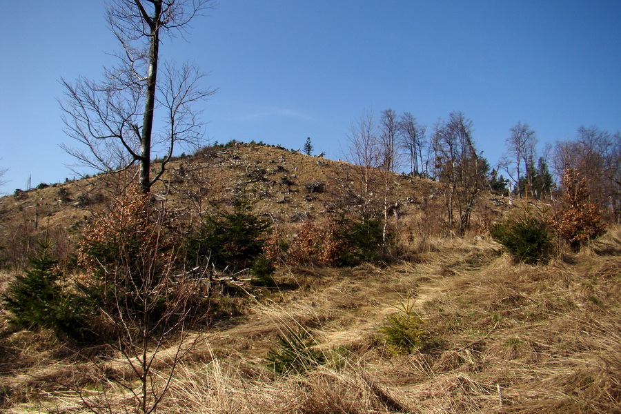 Bukovec zo Švedlára (Volovské vrchy)