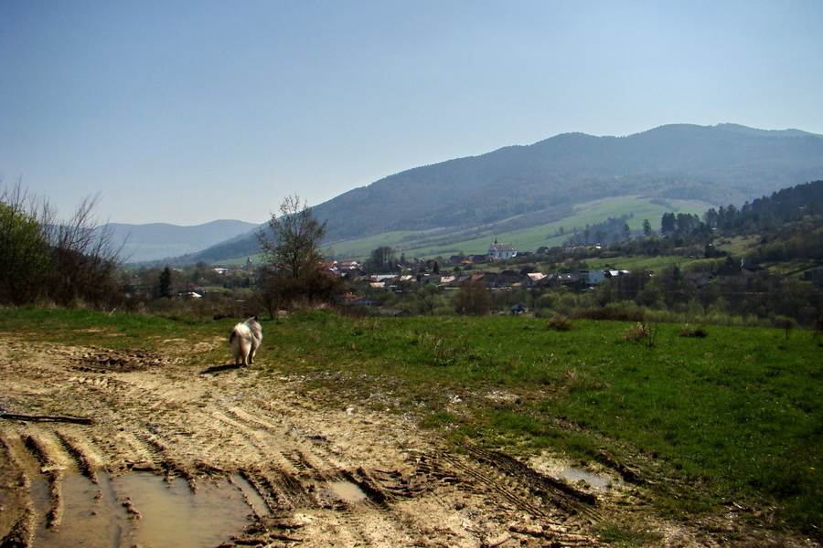 Bukovec zo Švedlára (Volovské vrchy)