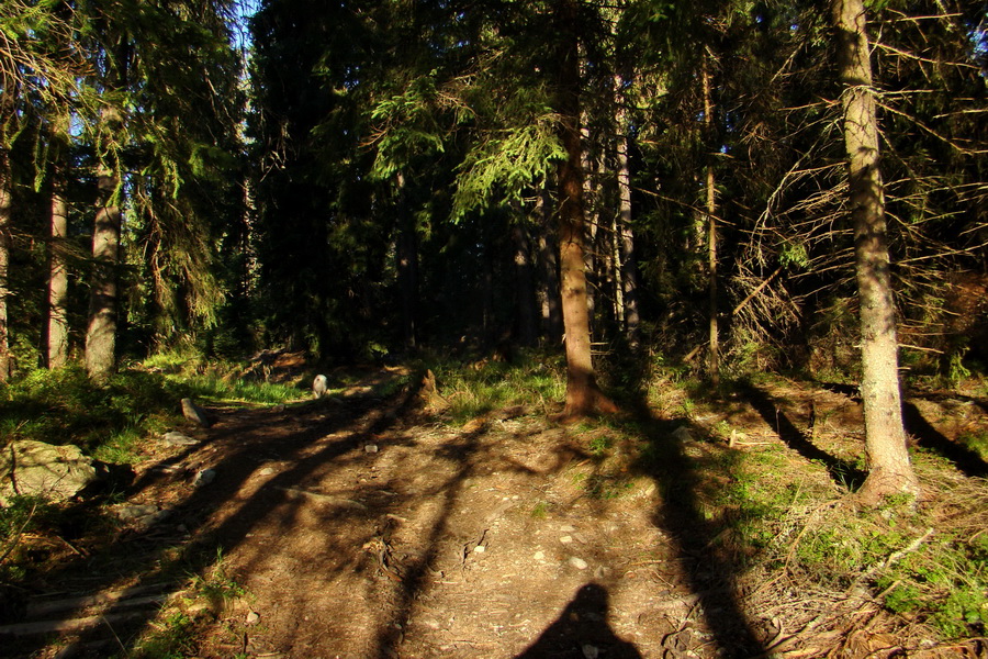 Bystrá z Podbanského (Západné Tatry)