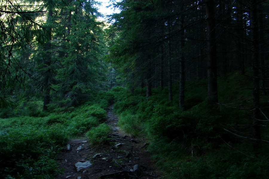 Bystrá z Podbanského (Západné Tatry)