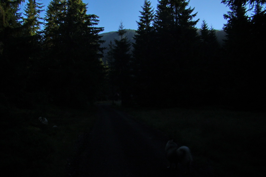 Bystrá z Podbanského (Západné Tatry)