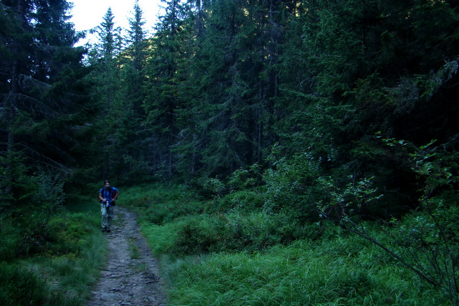 Bystrá z Podbanského (Západné Tatry)