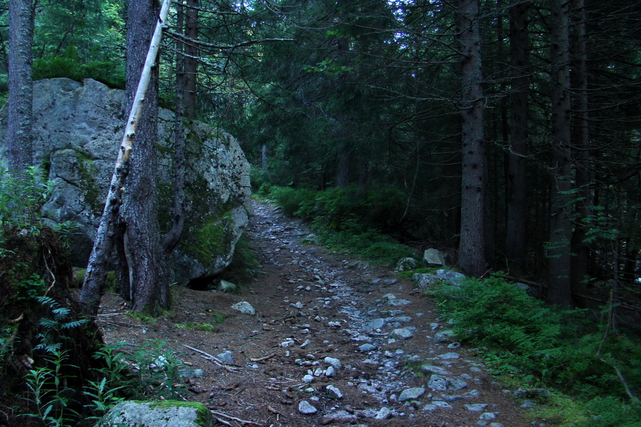 Bystrá z Podbanského (Západné Tatry)