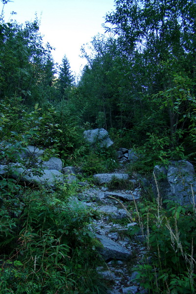 Bystrá z Podbanského (Západné Tatry)