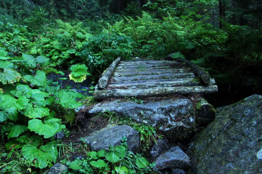 Bystrá z Podbanského (Západné Tatry)