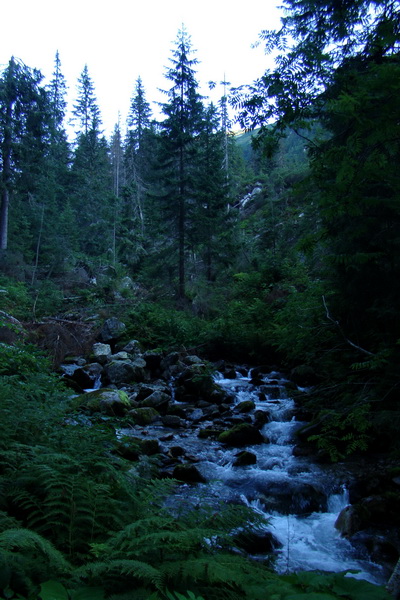 Bystrá z Podbanského (Západné Tatry)