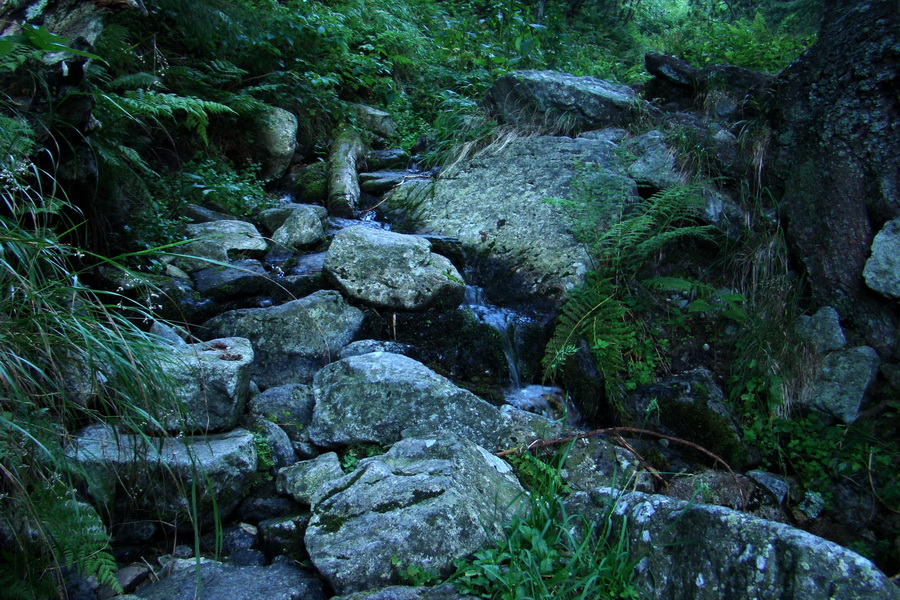 Bystrá z Podbanského (Západné Tatry)