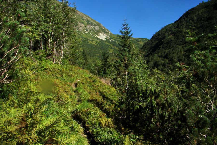 Bystrá z Podbanského (Západné Tatry)