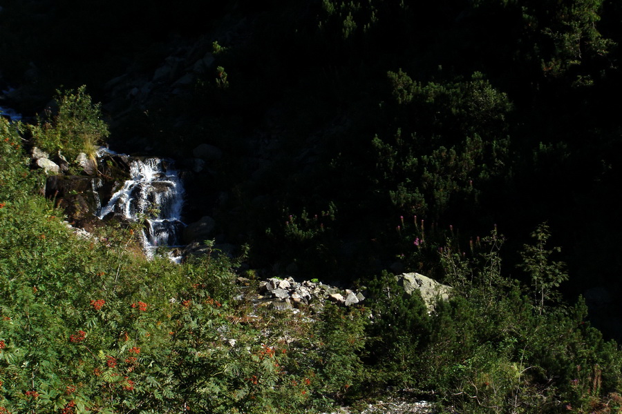 Bystrá z Podbanského (Západné Tatry)