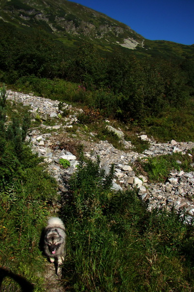 Bystrá z Podbanského (Západné Tatry)