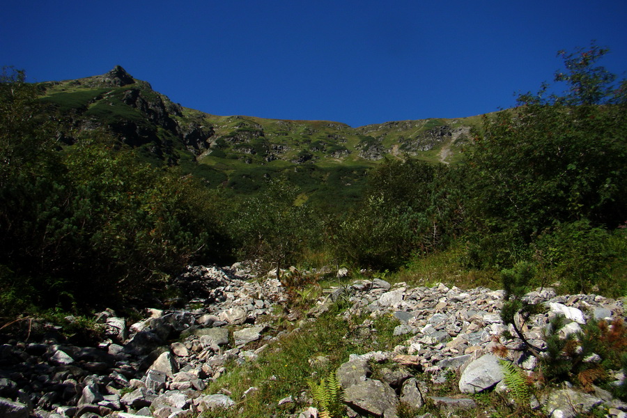 Bystrá z Podbanského (Západné Tatry)