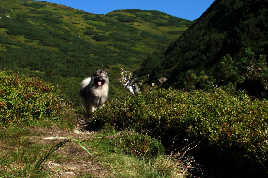 Bystrá z Podbanského (Západné Tatry)