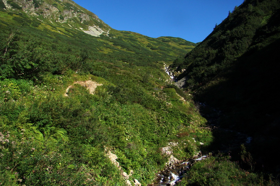 Bystrá z Podbanského (Západné Tatry)