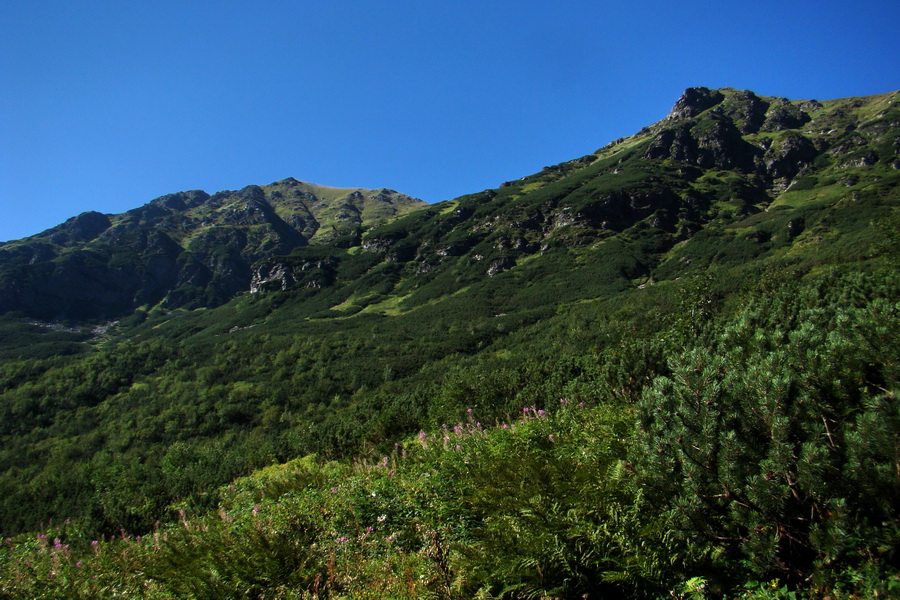 Bystrá z Podbanského (Západné Tatry)