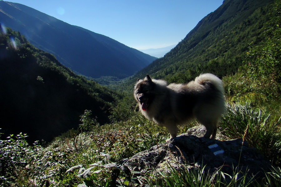 Bystrá z Podbanského (Západné Tatry)