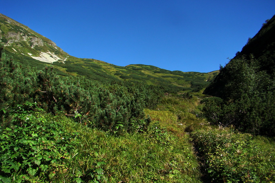 Bystrá z Podbanského (Západné Tatry)