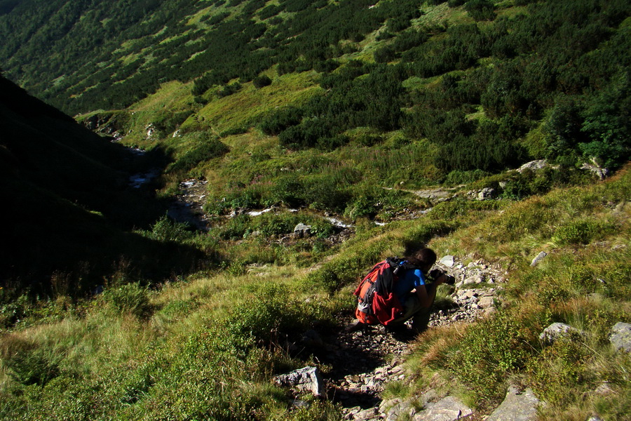 Bystrá z Podbanského (Západné Tatry)