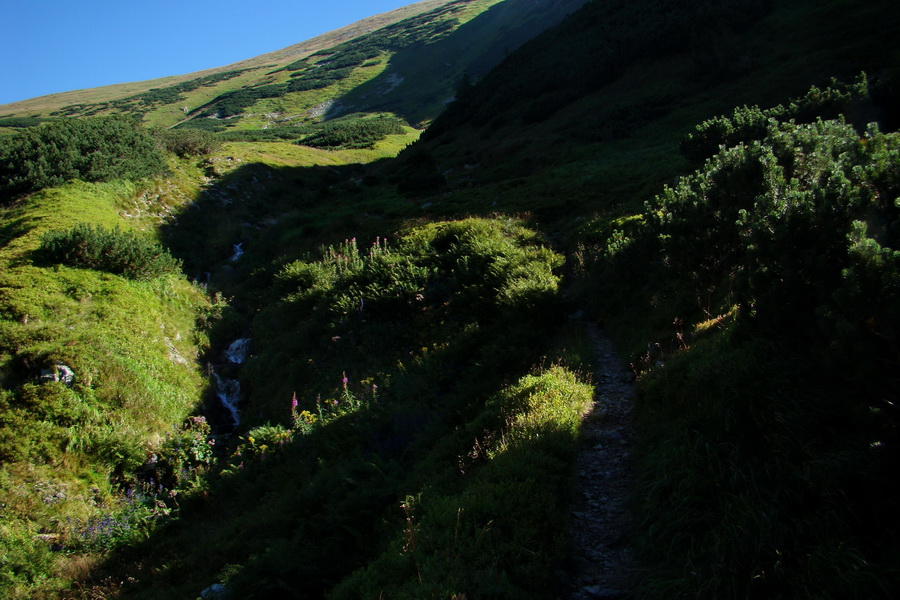 Bystrá z Podbanského (Západné Tatry)