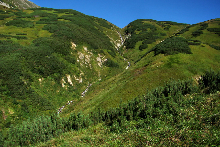 Bystrá z Podbanského (Západné Tatry)