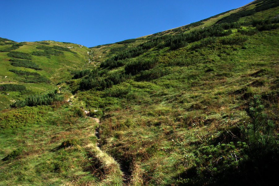 Bystrá z Podbanského (Západné Tatry)