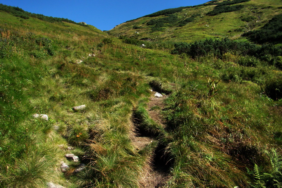 Bystrá z Podbanského (Západné Tatry)