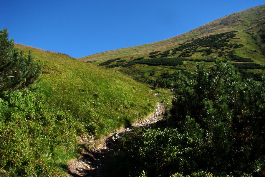 Bystrá z Podbanského (Západné Tatry)