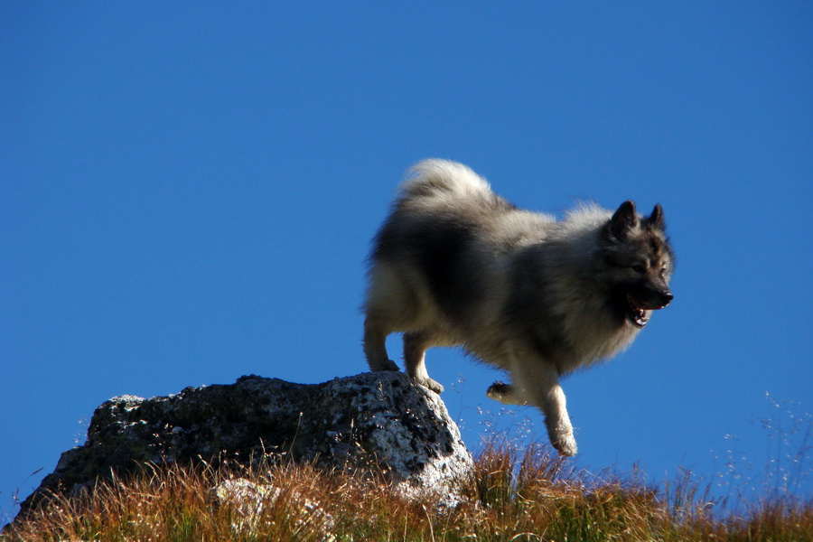 Bystrá z Podbanského (Západné Tatry)