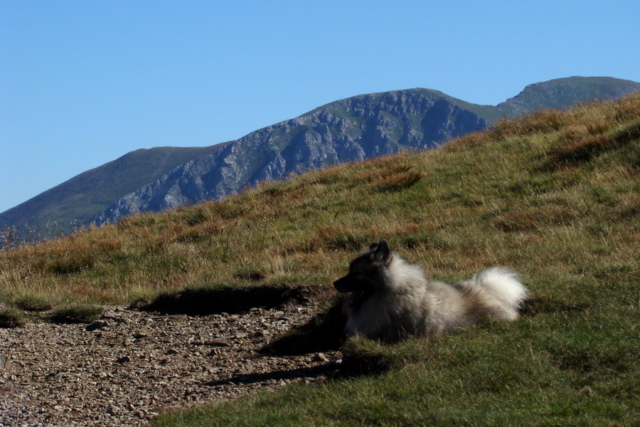 Bystrá z Podbanského (Západné Tatry)