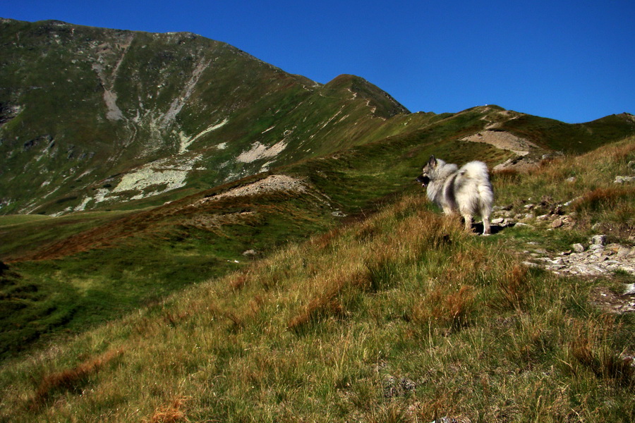 Bystrá z Podbanského (Západné Tatry)