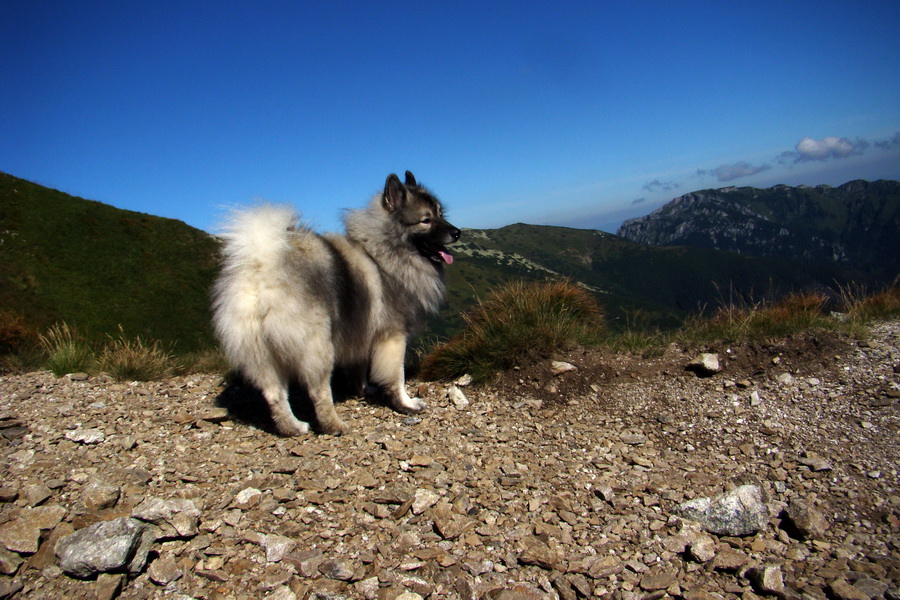 Bystrá z Podbanského (Západné Tatry)