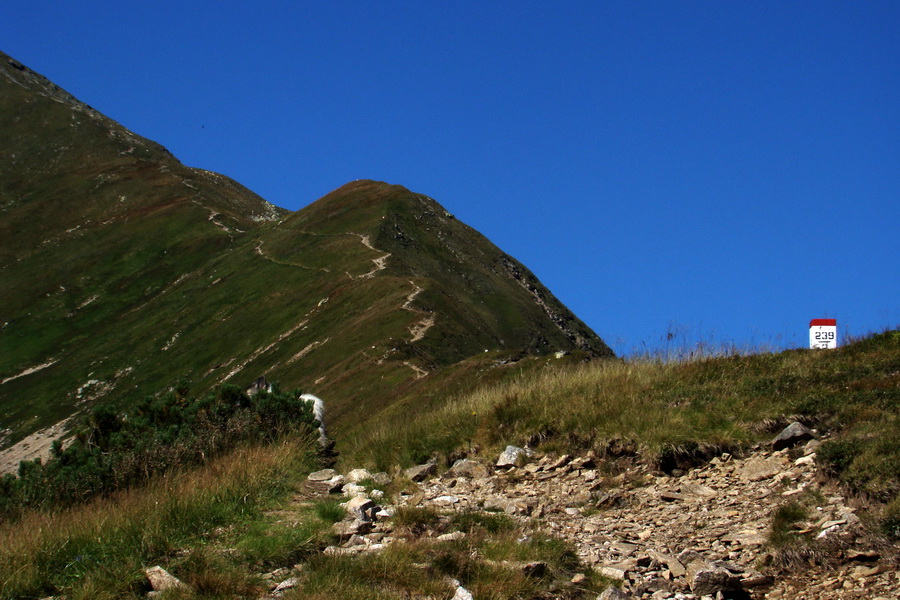 Bystrá z Podbanského (Západné Tatry)