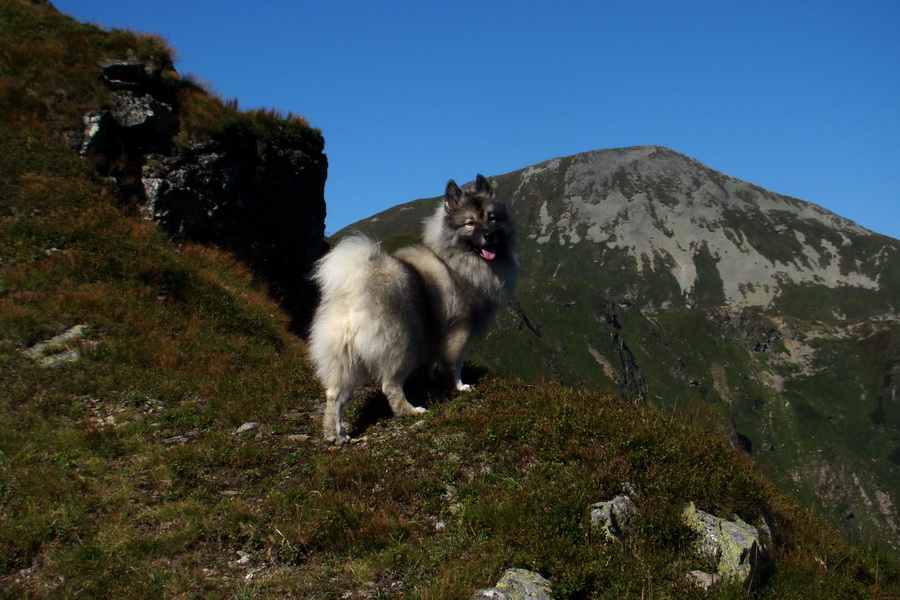 Bystrá z Podbanského (Západné Tatry)