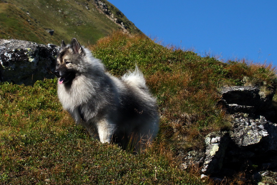 Bystrá z Podbanského (Západné Tatry)